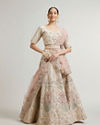 Dark Cream Lehenga with Motifs, Beads And Sequin Work